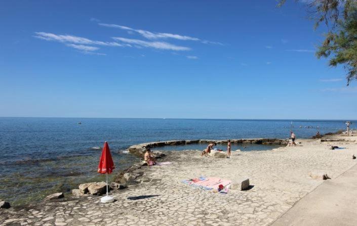Apartman Onaon Novigrad Istria 外观 照片
